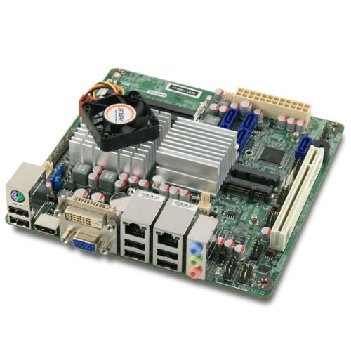 NF81-T56N-LF