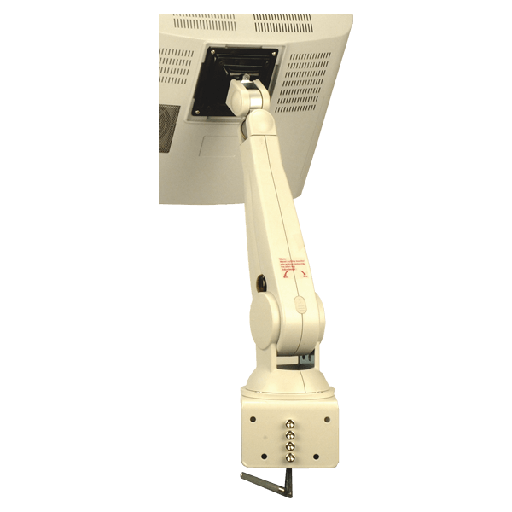 ARM-31